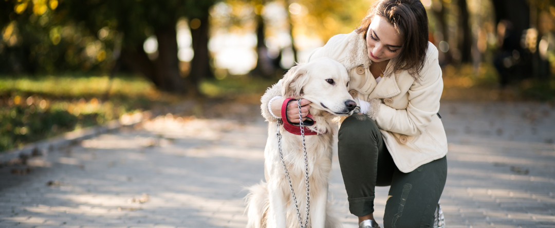 Can Dogs Have Magnesium